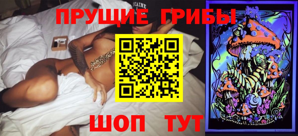 Псилоцибиновые грибы Psilocybine cubensis Таганрог