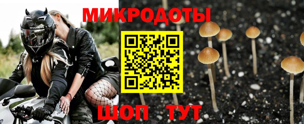 Таганрог  Псилоцибиновые грибы Psilocybine cubensis  Вход с VPN 