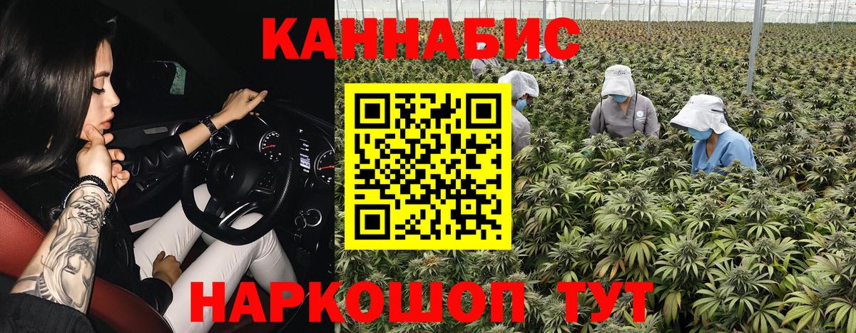 Марихуана семена Таганрог
